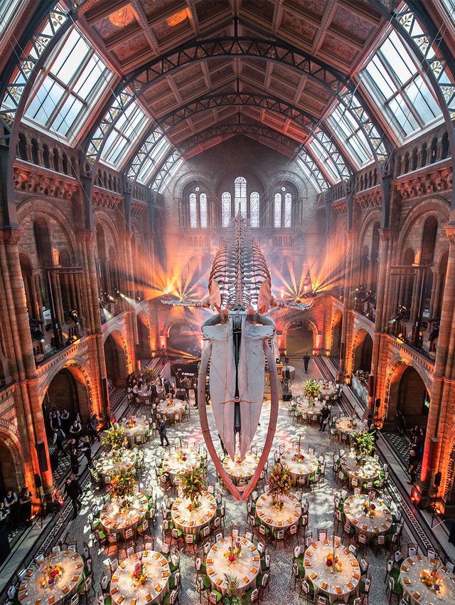 Natural History Museum with Just 70